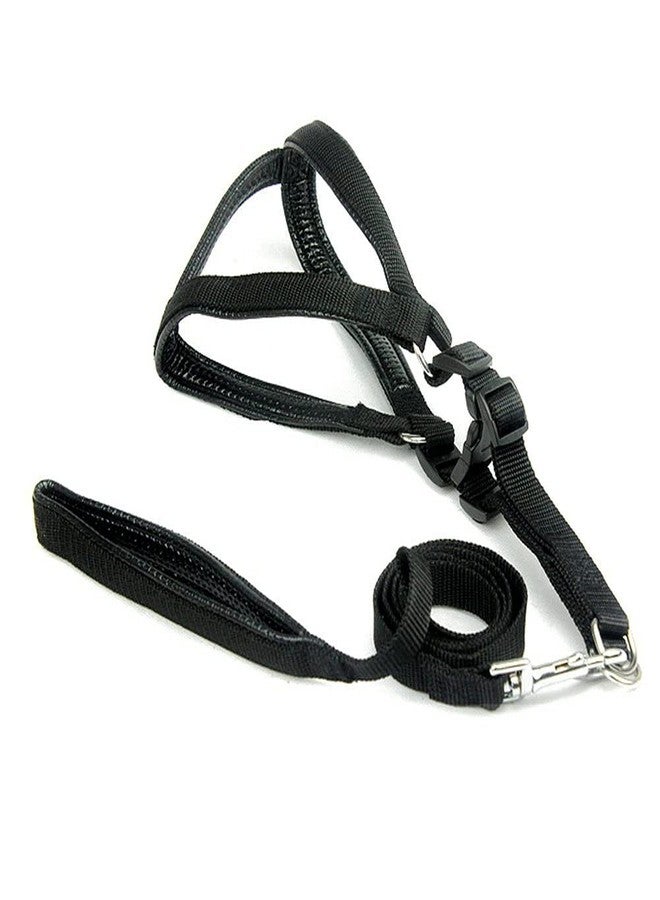 Pups&Pets Nylon Dog Harness with Leash Set 0. 75 inch (Black Color) Small Size - Image 1